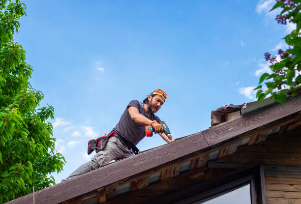 Best Cold Roofs  in Hamshire, TX