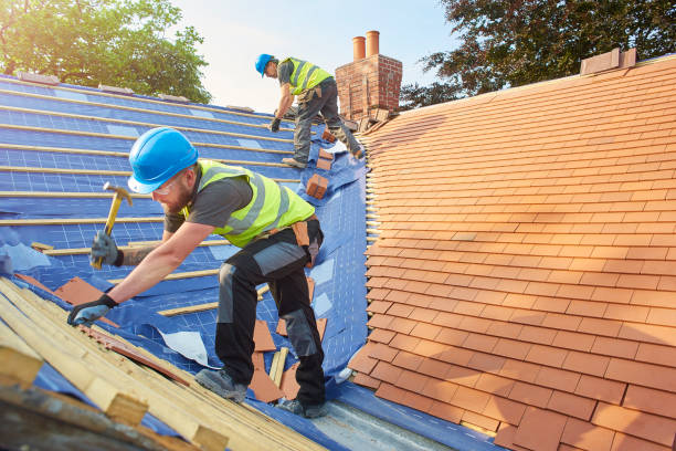 Best Gutter Installation and Repair  in Hamshire, TX